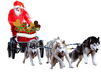 Neue Lebensqualität