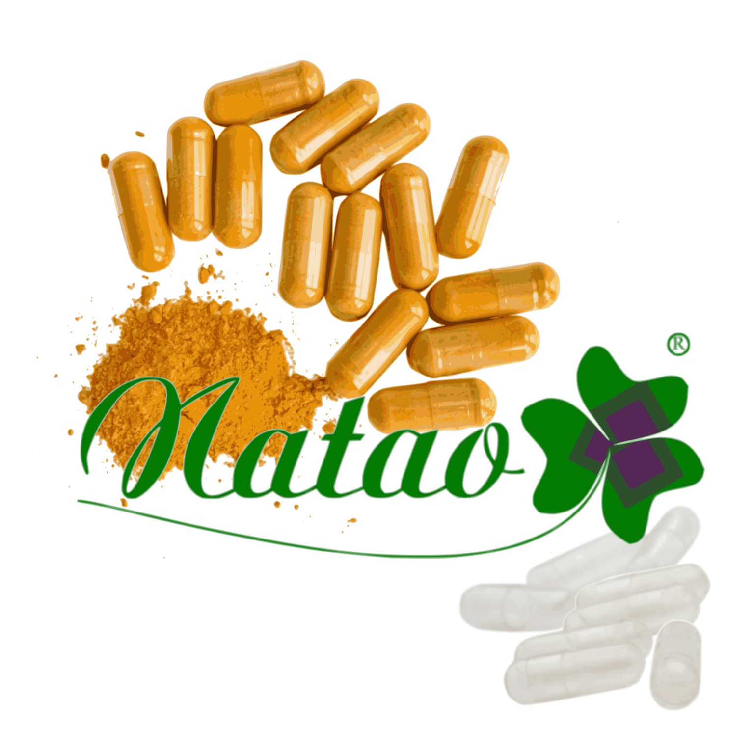 Magensaftresistente Leerkapseln