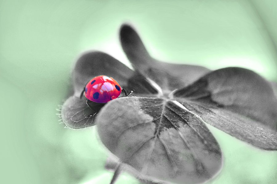 Neue Lebensqualität