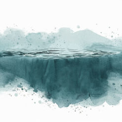 DMSO 3 % Verdünnung mit Meerwasser
