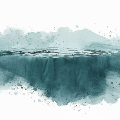 DMSO 3 % Verdünnung mit Meerwasser 30 ml